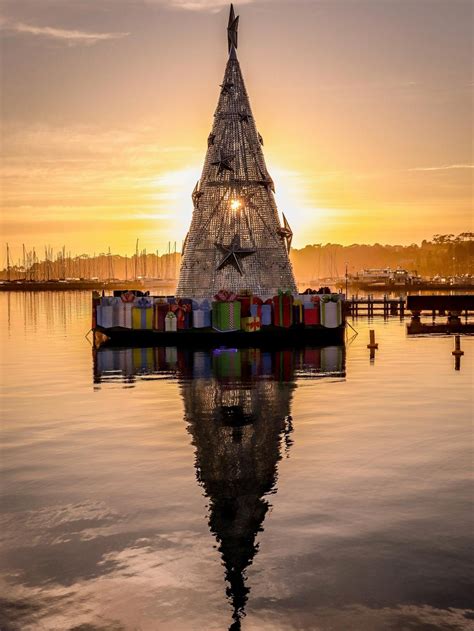 Geelong Floating Christmas Tree Captured Beautifully In Sunrise Picture