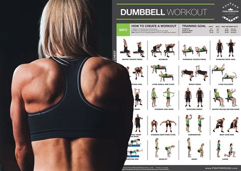 Dumbbell Exercises Laminated Poster Chart Strength Training Core 548