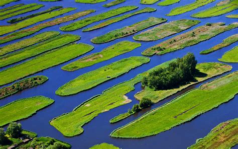 Ш., 5 ° 34 ' в. нидерланды вода деревья остров трава HD обои для ноутбука