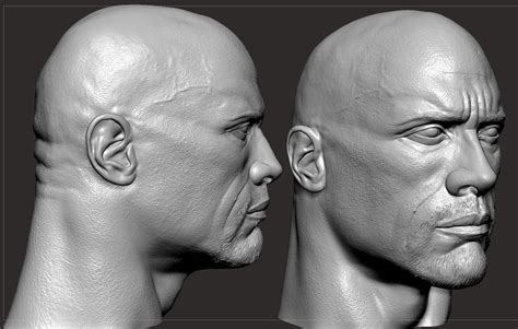 The Rock Head Dwayne Johnson 3D Model 3D Printable CGTrader