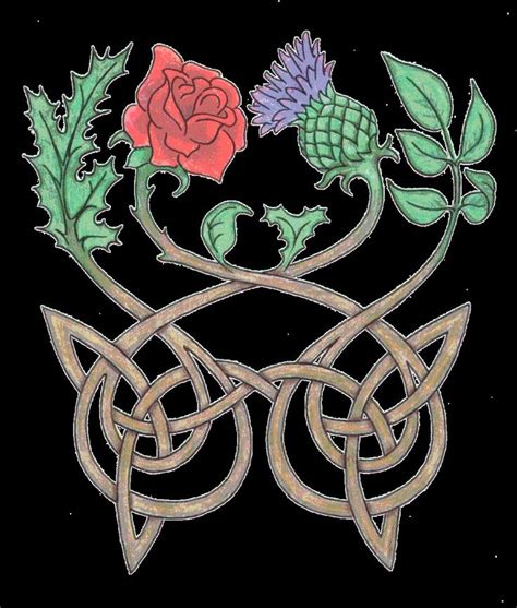A heart shaped celtic trinity tattoo is no rare, and many crowd of people are getting it. thistle and rose - Quoteko.com | Tattoo | Pinterest ...