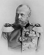 His Royal Highness Prince Albrecht of Prussia (1837–1906) | German ...