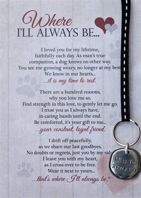 Pin On Pet Loss And Grieving