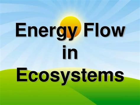 Ppt Energy Flow In Ecosystems Powerpoint Presentation Free Download