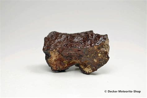 Dhofar 020 Meteorit 4060 G Kaufen Decker Meteorite Shop