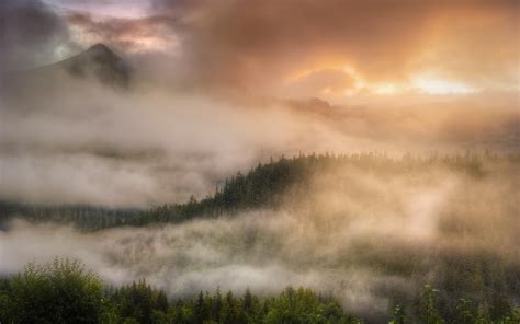 Nature Landscape Forest Mountain Sunrise Trees Mist Clouds Sky Fall
