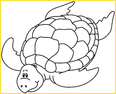Sketsa Gambar Kura Kura Kartun Hitam Putih Buaya Dan Kurakura Reptil