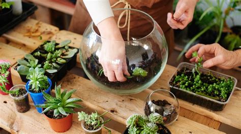 Just fill the reservoir with water, then check. Build A Mini Garden Terrarium With Your Kids | DIY Projects