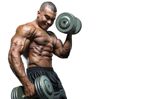 Muscle Png Image Hd Png All
