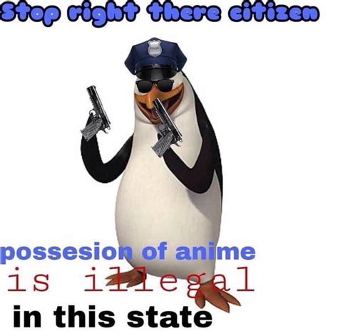 Possession Of Anime Is Illegal In This State No Anime Penguin Know