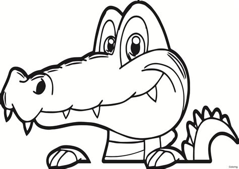 Alligator Cartoon Drawing At Getdrawings Free Download