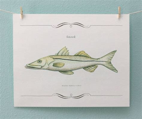 Snook Fish Print 8 X 10 By Holidaypuzzles On Etsy 1700 Fish Art