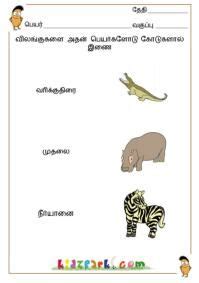 If you're trying to learn tamil, check our courses below about adjectives, adverbs, articles, gender (feminine, masculine.), negation, nouns, numbers, phrases, plural, prepositions, pronouns, questions, verbs, vocabulary, excercises. Tamil Names, Tamil Learning for Children, Tamil for Grade 1 | 1st grade worksheets, Language ...