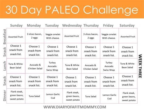 Diary Of A Fit Mommy 30 Day Paleo Challenge Come With Free Meal Plan