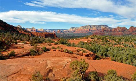 Arizona Natural History Association | Peaks, Plateaus & Canyons Association