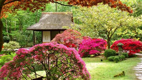 Garden Scenery Background Trees Colorful Flowers Hut Hd Scenery