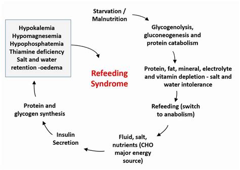 Refeeding Syndromes Fasting 20 The Fasting Method