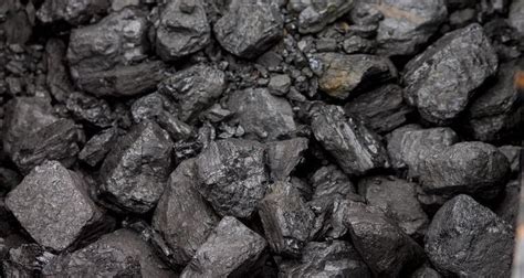 E-sklep PGG: Jak skutecznie kupić węgiel? Spółka podaje receptę • www ...