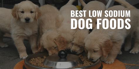 Low sodium dog food refers to both additives and the natural components of the food itself. 10 Best Low Sodium Dog Foods - Benefits, Brands, Top ...