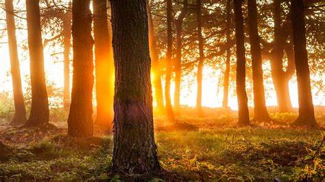 Autumn Sunrise 5 Sunrise In The Peak District Uk James Mills Flickr