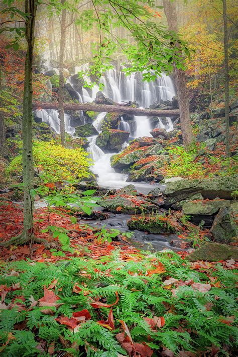 Fern Falls Photograph By Bill Wakeley Fine Art America