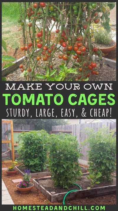 Tomato Trellis Diy Tomato Cage Diy Diy Trellis Tomato Cages Tomato