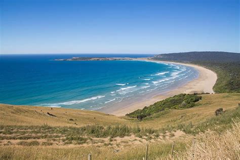25 Best Beaches In New Zealand An Insiders Guide