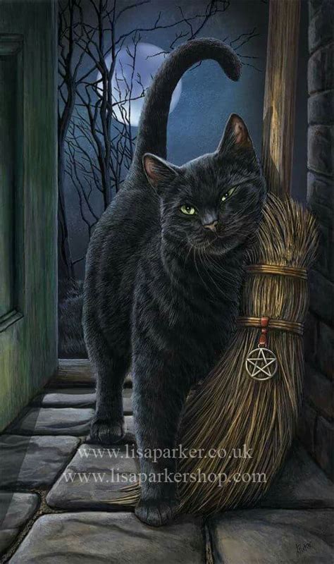A Brush With Magic By Lisa Parker Halloween Pictures Halloween Cat