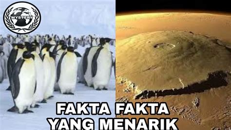 fakta fakta yang menarik ♡º youtube