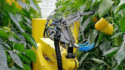 Robots Diseñados Para La Agricultura Del Futuro Tecnología Hortícola