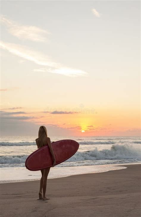 Frauen Surfer M Dchen Im Bikini Surfbrett Sonnenuntergang Strand My