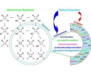 Photochemistry and photobiology publishes on photoscience, like primary interaction of light with molecules, cells, and tissue to biological responses. Squaraine dyes: The hierarchical synthesis and its ...