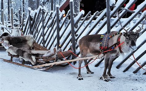 6 Dagen Avontuur In Lapland › Worldwidewendy