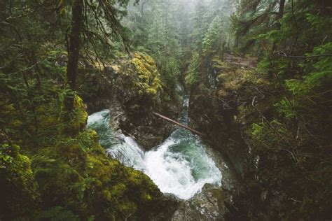 Nature Landscape Forest River Waterfall Mist Vancouver Island British