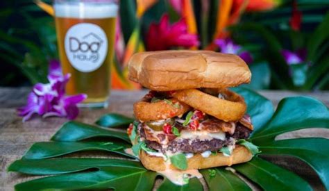Dog Haus Releases New Big Kahuna Burger The Fast Food Post