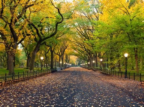 Information About Central Park In New York All You Need To Know