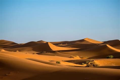 The Largest Desert In The World 5 Of The Worlds Largest Deserts Bhaitv