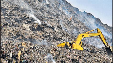 Wall Of Trees Worth ₹1 Crore Coming Up Around Bhalswa Landfill Latest