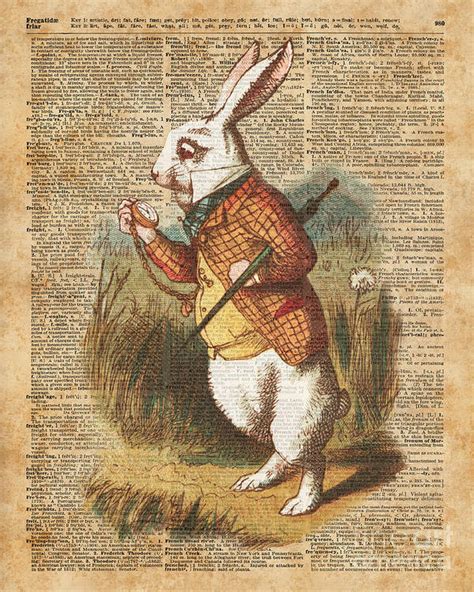 White Rabbit Alice In Wonderland Vintage Art Poster By Anna W