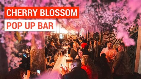 Cherry Blossom Pub 🌸 Dc Pop Up Bar Youtube