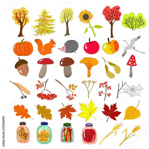 Cute Autumn Icons Set Of Plants Leaves Harvest And Characters Fall
