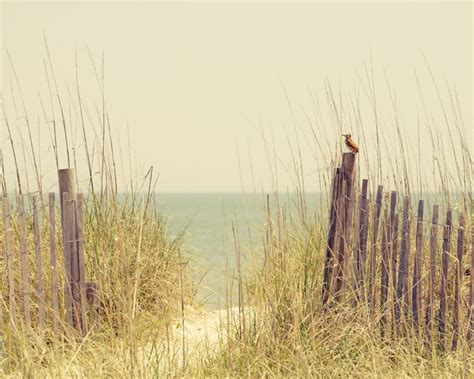 Beach Sand Dune Fence South Carolina Hazy Days Of