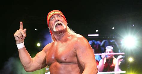 Tna Wrestlers Hulk Hogan Loved He Had Backstage Heat With
