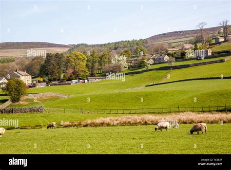 Nidderdale Farmland In The English Yorkshire Dales England Uk Stock