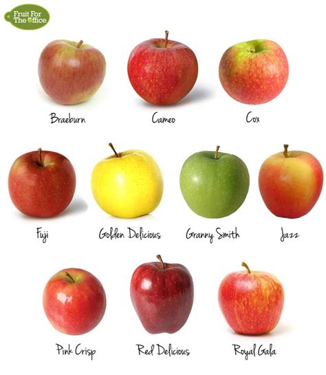 Fruit For The Office 10 Types Of Apple