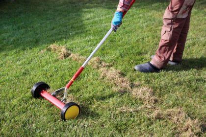 2 comments march 3, 2020 sarah the lawn chick. How to Remove Old Buffalo Grass Lawn - My Home Turf