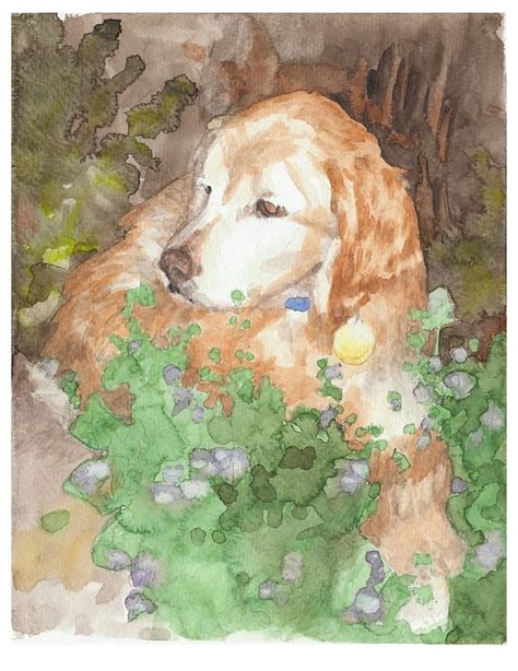 Setter Dog In Flowers Watercolor Portrait Drawing By Mike Theuer Pencil