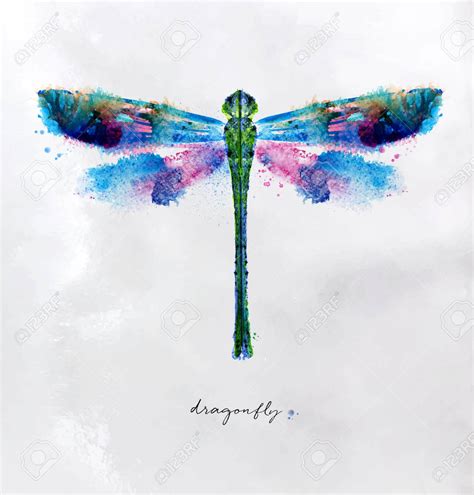 Dragonfly Drawing At Getdrawings Free Download