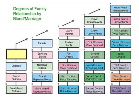 Consanguinity And Affinity Relationship Chart