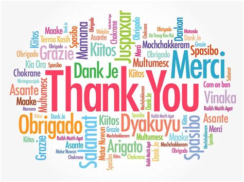 Thank You Word Cloud In Different Languages Concept Background Wall